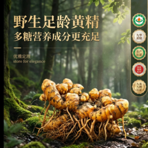 AI视频生成